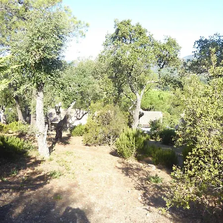 Mit Blick Auf Grimaud Cogolin